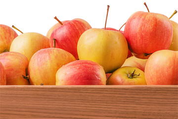 Apples in a wooden box. Fresh fruits red yellow apples isolate on white.