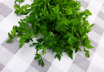 Fresh green parsley on the table. Close-up image