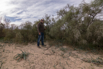 Los matorrales de la playa