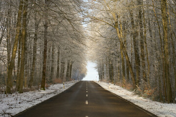 Straße durch den wunderschönen frostigen Winterwald