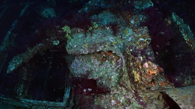 Wreck of the Donator on the Mediterranean Coast of France