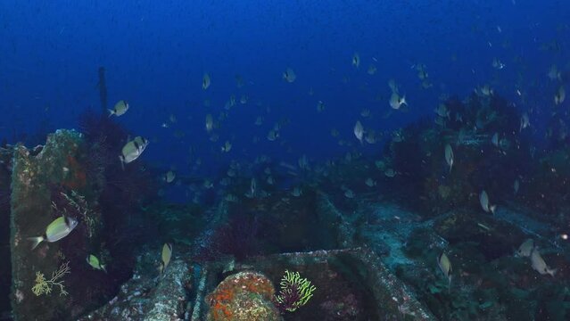 Wreck of the Donator on the Mediterranean Coast of France
