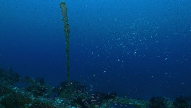 Wreck of the Donator on the Mediterranean Coast of France