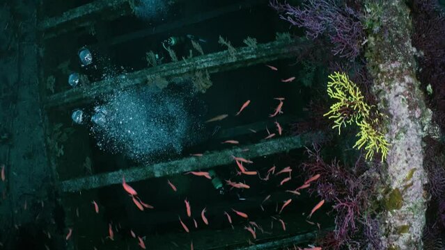Wreck of the Donator on the Mediterranean Coast of France