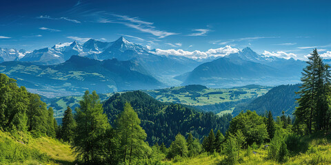 Swiss Alps mountain range with lush forest valleys and meadows, countryside in Switzerland landscape. Snowy mountain tops in the horizon, travel destination wallpaper background - obrazy, fototapety, plakaty