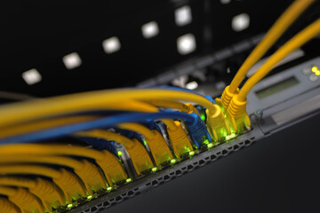 Ethernet cables connected by patch cables that illustrate the connectivity and networking aspect of...
