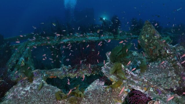 Wreck of the Donator on the Mediterranean Coast of France