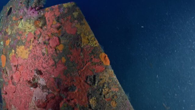 Wreck of the Hellcat on the Mediterranean Coast of France - Airplane