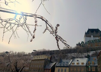 Ice storm coating tree branches in historic Quebec City, Canada