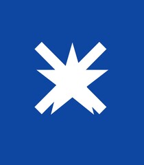 blue star icon