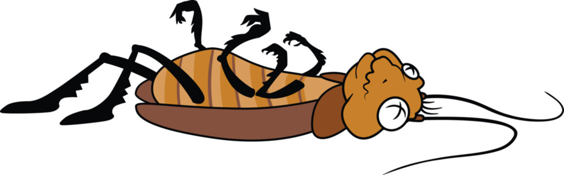 Dead cockroach insect icon cartoon vector. Home bug. Pest funny control
