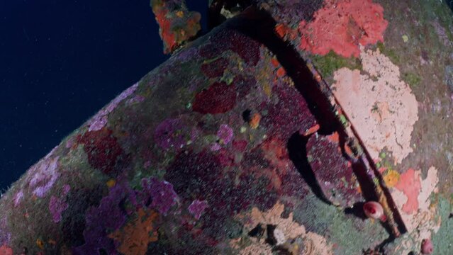 Wreck of the Hellcat on the Mediterranean Coast of France - Airplane