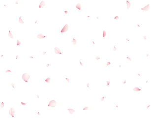 Falling Cherrty Petals