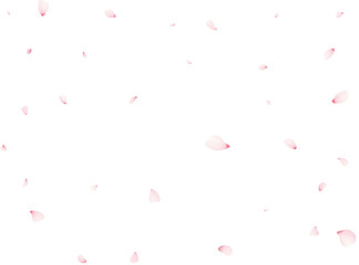 Falling Cherrty Petals