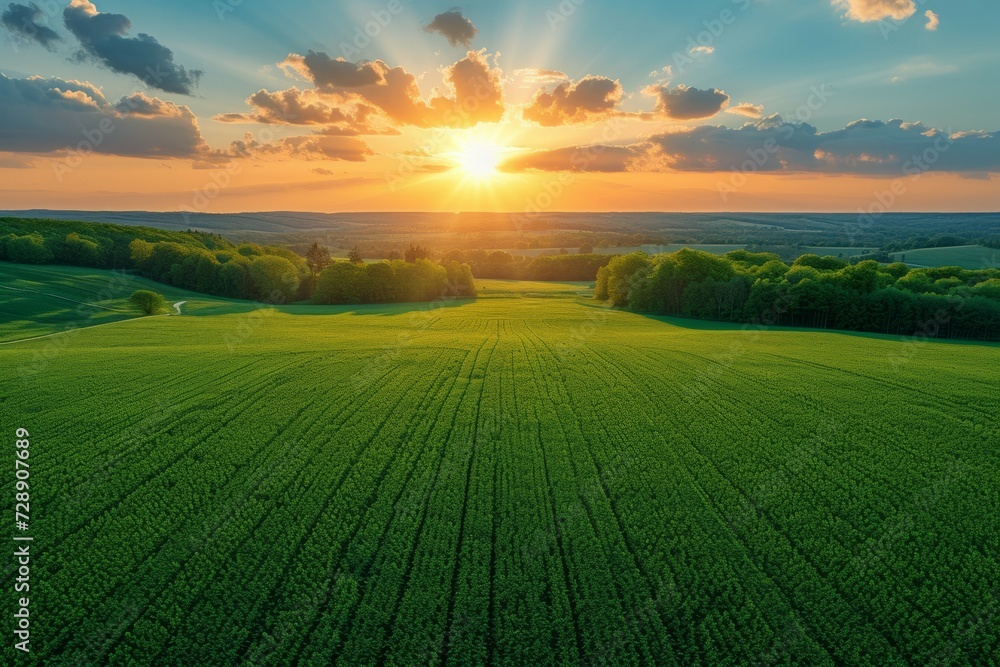 Poster drone view of a farmer's field. background with selective focus and copy space