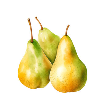 two green pears, watercolor style