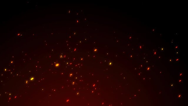 火の粉が舞うループ映像