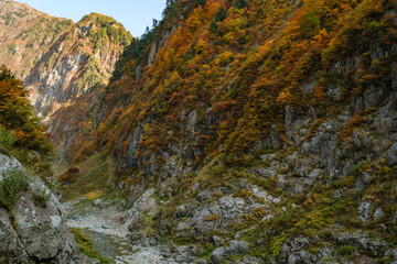 秋の峡谷