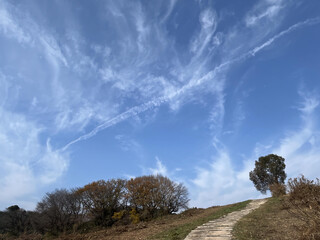 秋の青空と白い雲
