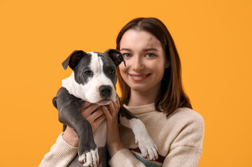 Beautiful young woman with cute staffordshire terrier puppy on yellow background