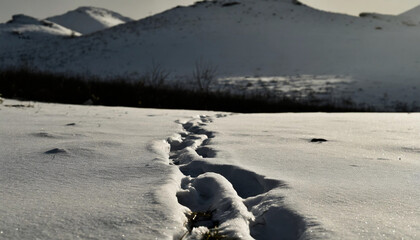 Snowfield, mountain, sleigh, snow tracks, footprints, ruts