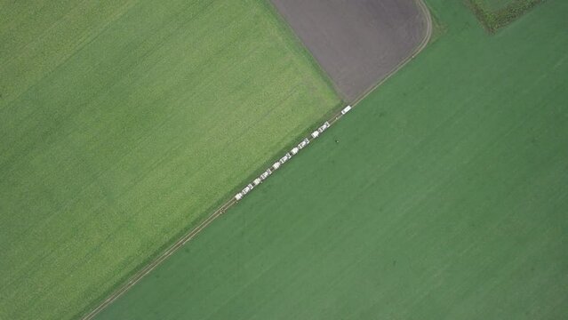High Resolution Video of several Vibro-Trucks shot with a drone. It shows the trucks lined up on a field, starting with a wide shot with the drone flying closer towards the end.
