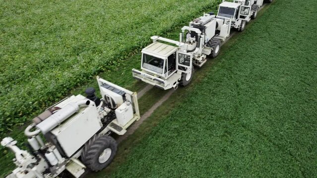 High Resolution Video of several Vibro-Trucks shot with a drone. It shows the trucks driving on a field, while the drone is flying above them.