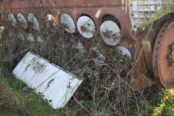 Diesel locomotive engine covered in briers.