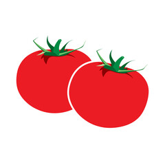 Make a Professional Tomato Vectors and Illustrations