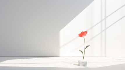 flower in jug on white background