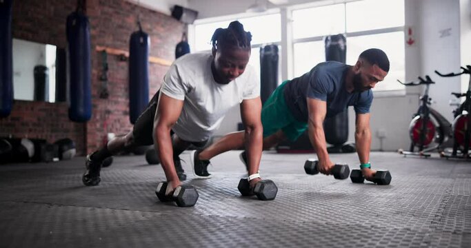 Man, personal trainer and push ups with dumbbells in fitness for workout, exercise or training on floor at gym. Active male person, coach and lifting weights for muscle gain, strength at health club