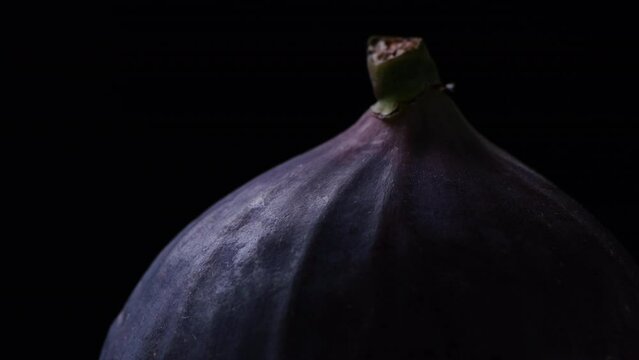 Close up a fig with a dark background.