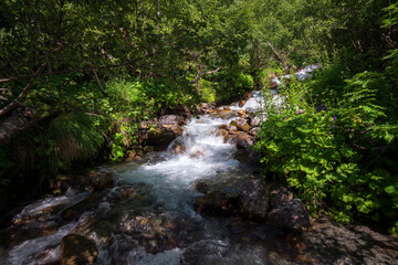 The sources of the Alibek River flowing down from the mountain slopes of the North Caucasus on the territory of the Teberdinsky Reserve on a sunny summer day, Dombai, Karachay-Cherkessia, Russia