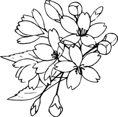 ペンで描いた桜のイラスト2