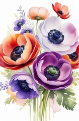 Bright, multicolored anemones on a white background. Vertikal watercolor illustration for design, print or background