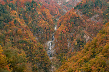 秋の峡谷