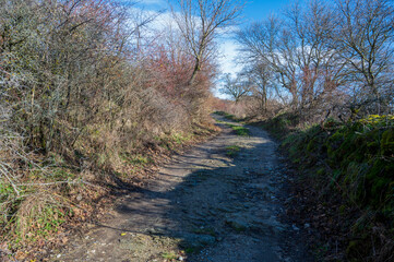 Unpaved road leading uphill between bushes and trees. Autumn. Blue sky with white clouds. - Powered by Adobe