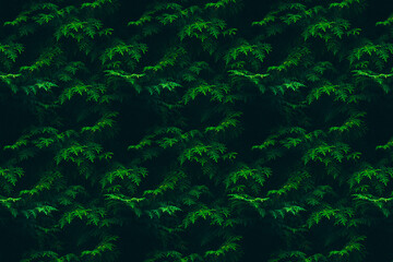 Tropical leaves abstract green leaves natural background dark floral pattern.