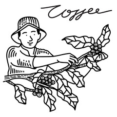 farmers picking coffee beans 