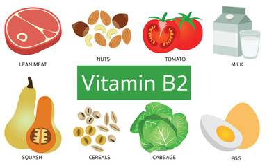 Vitamin B2 food sources on white background.