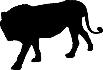 Walking black lion silhouette png concept with beautiful mane and tail isolated illustration transparent