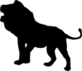 Walking black lion silhouette png concept with beautiful mane and tail isolated illustration transparent