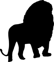 Walking black lion silhouette png concept with beautiful mane and tail isolated illustration transparent