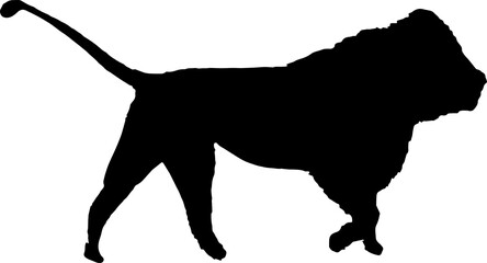 Walking black lion silhouette png concept with beautiful mane and tail isolated illustration transparent
