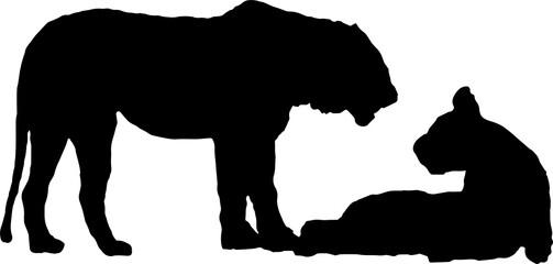 Walking black lion silhouette png concept with beautiful mane and tail isolated illustration transparent