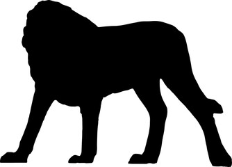 Walking black lion silhouette png concept with beautiful mane and tail isolated illustration transparent