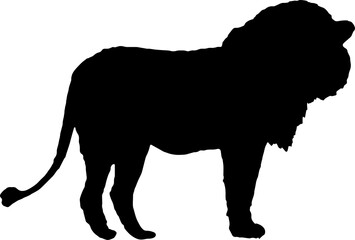 Walking black lion silhouette png concept with beautiful mane and tail isolated illustration transparent