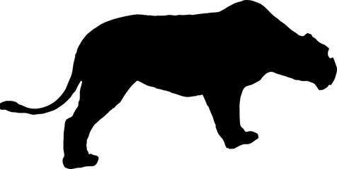 Walking black lion silhouette png concept with beautiful mane and tail isolated illustration transparent