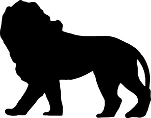 Walking black lion silhouette png concept with beautiful mane and tail isolated illustration transparent