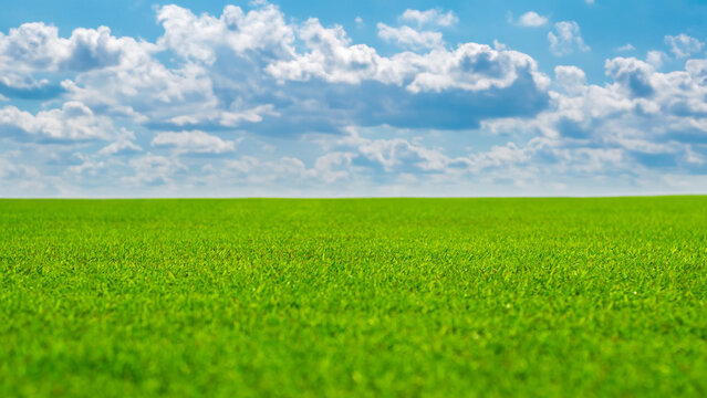 Beautiful blurred background image of spring nature with a neatly trimmed lawn surrounded by trees against a blue sky with clouds on a bright sunny day. garden and green grass, the sun shines.